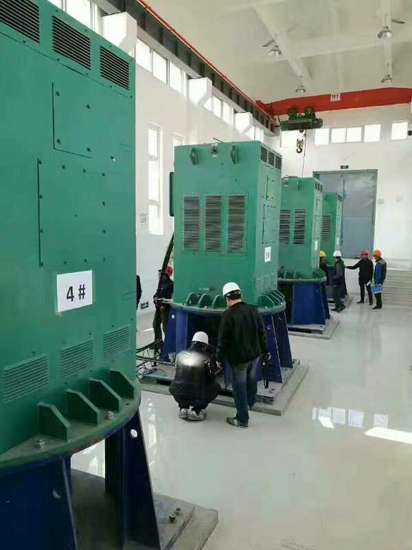 文峰某污水处理厂使用我厂的立式高压电机安装现场